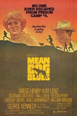 Mean Dog Blues poster