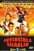 Invincible Shaolin poster