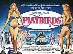 The Playbirds poster