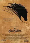The Black Stallion poster