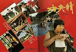 The Incredible Kung Fu Master poster