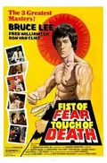 Fist of Fear, Touch of Death poster
