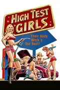 Six Swedish Girls at a Pump poster