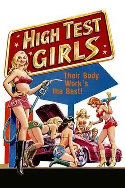 Six Swedish Girls at a Pump poster