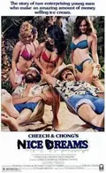 Nice Dreams poster