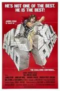 Kill and Kill Again poster