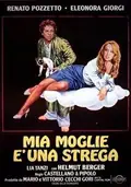 My Wife is a Witch poster