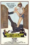 The Night the Lights Went Out in Georgia poster