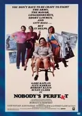Nobody's Perfekt poster