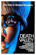Death Valley poster