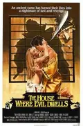 The House Where Evil Dwells poster