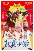 The Treasure Hunters poster