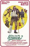 They Call Me Bruce? poster