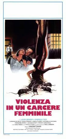 Violence in a Women's Prison poster