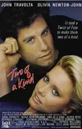 Two of a Kind poster