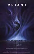 Night Shadows poster