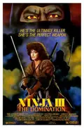 Ninja III: The Domination poster