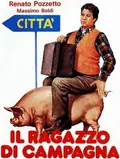 The Country Boy poster