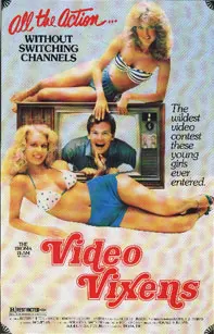 Video Vixens! poster