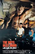 The Boys Next Door poster