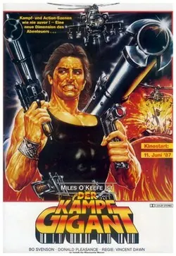 Double Target poster