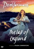 The Last of England poster