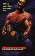 Destroyer poster