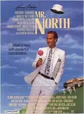 Mr. North poster