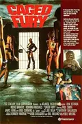 Caged Fury poster