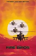 Fire Birds poster