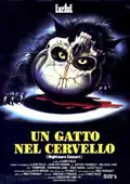 A Cat in the Brain poster