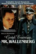 Good Evening, Mr. Wallenberg poster