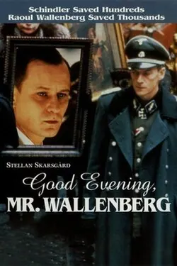Good Evening, Mr. Wallenberg poster