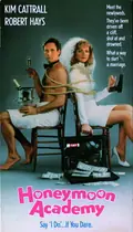 For Better or for Worse poster