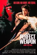 The Perfect Weapon poster