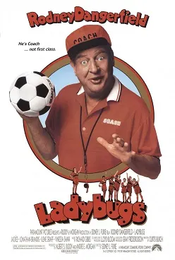 Ladybugs poster
