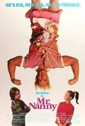 Mr. Nanny poster