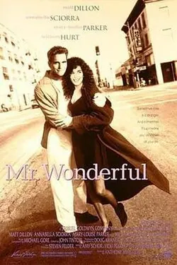 Mr. Wonderful poster
