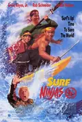 Surf Ninjas poster