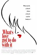 What's Love Got to Do with It poster