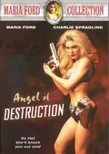 Angel of Destruction poster