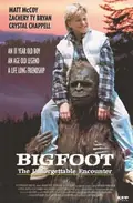 Bigfoot: The Unforgettable Encounter poster