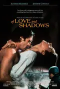 Of Love and Shadows poster