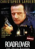The Road Killers poster