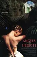 Angels and Insects poster