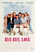 Bye Bye Love poster
