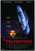 The Maddening poster