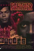 Panther poster