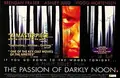 The Passion of Darkly Noon poster