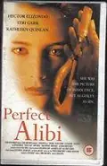 Perfect Alibi poster